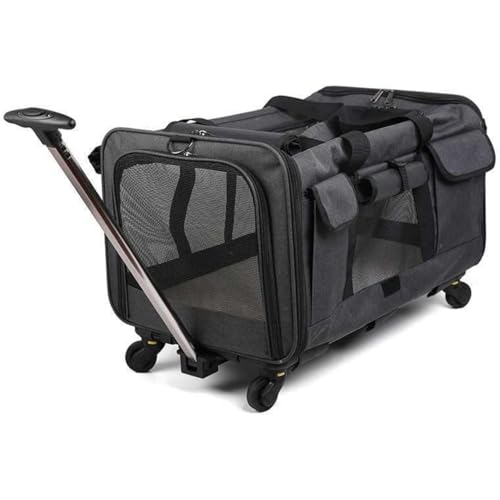 LX^[tybgpLOobOAA{bNXA܂肽ݎAAL Momgla ybgobOAʋCA|[^uAԓ܂肽ݎAOŉƂɋA鏬^ђ^̌ƔLɓKĂ܂ gL[Rei L[J[g Ŏgp\ [ې 