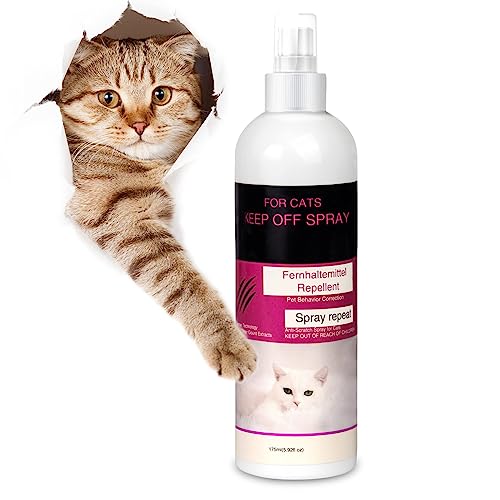 The 9 Best Cat Repellent Spray For Furniture [2024] Guyana News and
