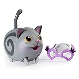 Chubby Puppies & Friends,Tabby Shorthair