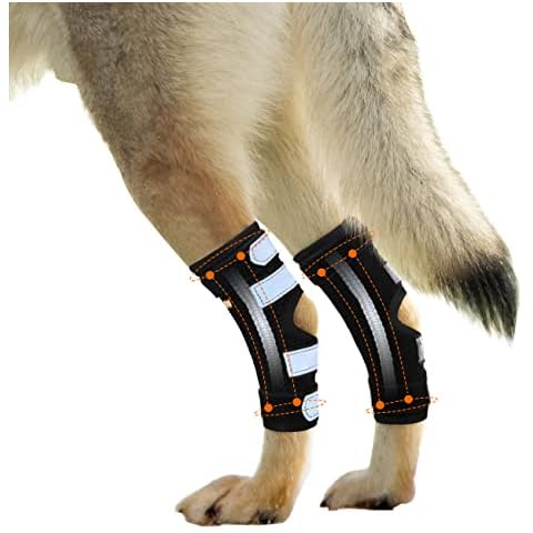 NeoAlly - Rear Leg Hock Brace with Metal Spring Strips, Dog Leg Brace for Rear Leg, Hock & Ankle Support, Rear Dog Leg Brace for Large Dogs, Long. (Both Legs, Large) Cover