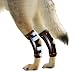 NeoAlly Dog Braces for Rear Leg Super Supportive with Dual Metal Spring Inserts to Stabilize Dog Hind Legs, Help Dogs with Injuries, Sprains, Arthritis, ACL, Rheumatism Walk