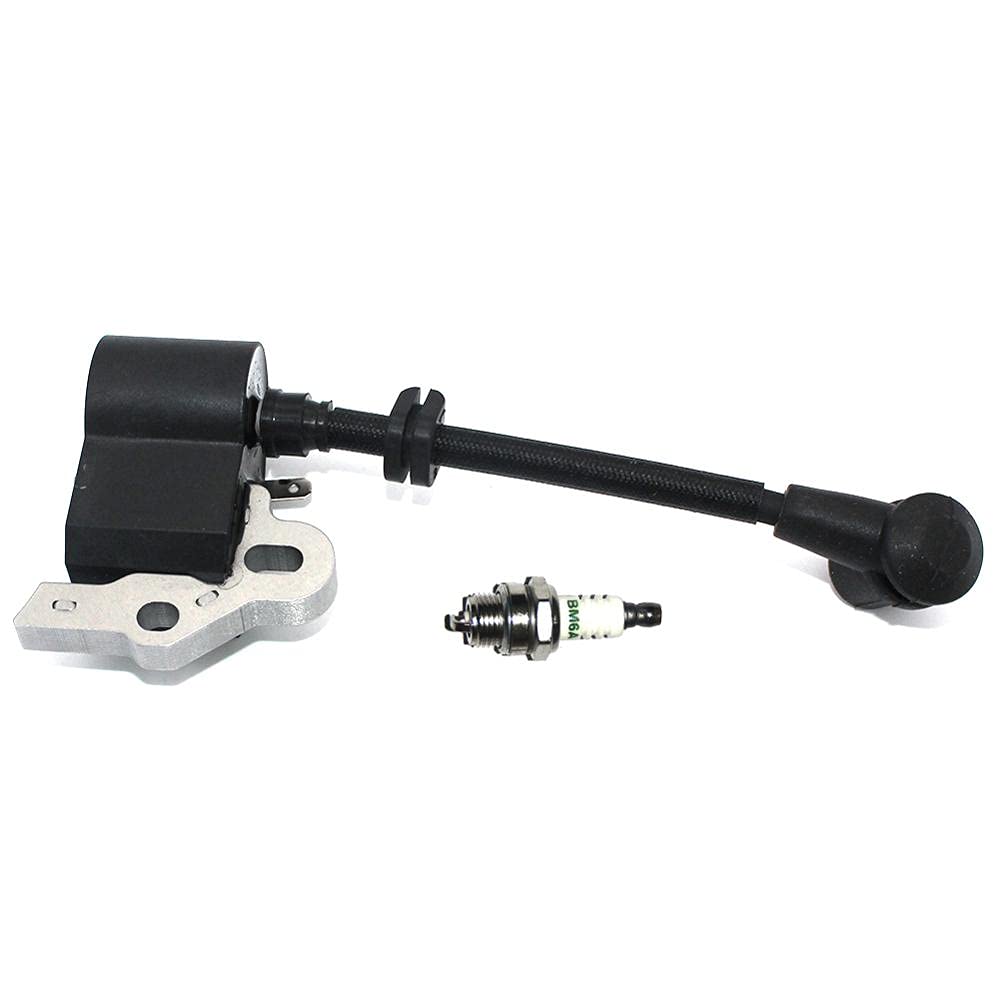 Bobine d'allumage pour entretenir le jardin avec T265CPS