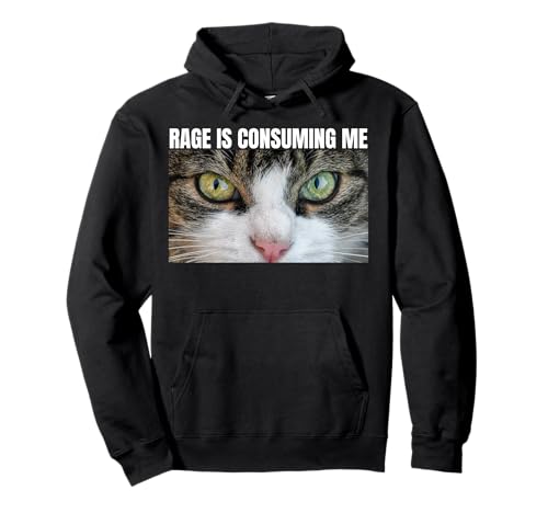 Rage Is Consuming Me Mirando Enojado Cat Rage Tonto Divertido Meme Sudadera con Capucha