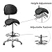 Cadiario Saddle Stool Chair with Backrest Swivel Hydraulic Ergonomic Tilt Seat Chair with Wheels Footrest for Medical Hospital Clinic Dental Hygienist Esthetician Beauty Salon Hair Stylist Black