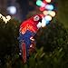 Solar Garden Lights, Outdoor Cute Red Parrot Shape Outdoor Decor Solar Decorative Yard Lights Waterproof Adorable Animal Garden Lights for Garden Lawn Decoration Walkway Courtyard Patio Decoration