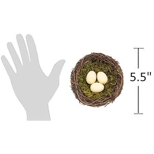 The Bridge Collection Artificial Bird Nest with Eggs - Cute Bird Egg Nest Tabletop Decoration for Easter, Spring, Summer, Everyday Home Decor (Cream Eggs) The Bridge Collection Artificial Bird Nest with Eggs Cute Bird Egg Nest Tabletop Decoration for Easter Spring Summer Everyday Home Decor Cream Eggs