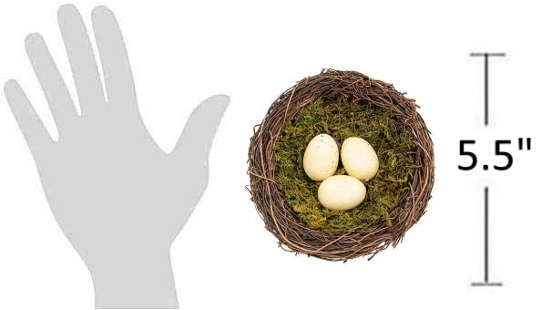 The-Bridge-Collection-Artificial-Bird-Nest-with-Eggs-Cute-Bird-Egg-Nest-Tabletop-Decoration-for-Easter-Spring-Summer-Everyday-Home-Decor-Cream-Eggs The Bridge Collection Artificial Bird Nest with Eggs Cute Bird Egg Nest Tabletop Decoration for Easter Spring Summer Everyday Home Decor Cream Eggs