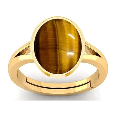 SirDaksh 8.25 Carat Adjustable Tiger Eye Ring Cover