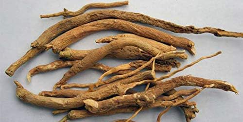 Miniatura 6 de 1008-Ashwaghandha (Withania somnifera) Semillas de Robsrareandgiantseeds UPC0764425785828 Sin OMG, orgánico, ginseng indio 1008 Paquete de 25