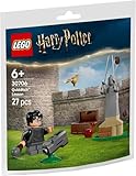 LEGO® Harry Potter™ Quidditch Lesson 30706