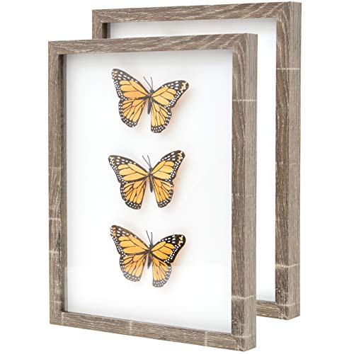 Super-Sturdy, 11x14 Gray Shadow Box Frame With Glass 2pk. Fill Large Rustic Wood Memory Box With Wedding Flowers, Jerseys, Pet Photos, Ticket Stubs, or Medals. Great Seashell Display Case