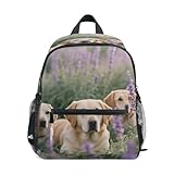 Dogs in Lavender Field - Mochila deportiva para niños, bolsa de libros para estudiantes, para parque de atracciones, Perros en campo de lavanda, S
