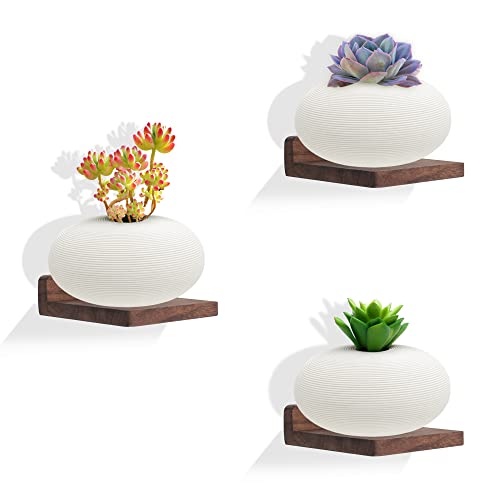 Niubest Small Floating Shelf,5X5 Inch Dark Walnut,Set Of 3 Small Wall Shelves For Bedroom Living Room Bathroom Kitchen Decor #TOP6