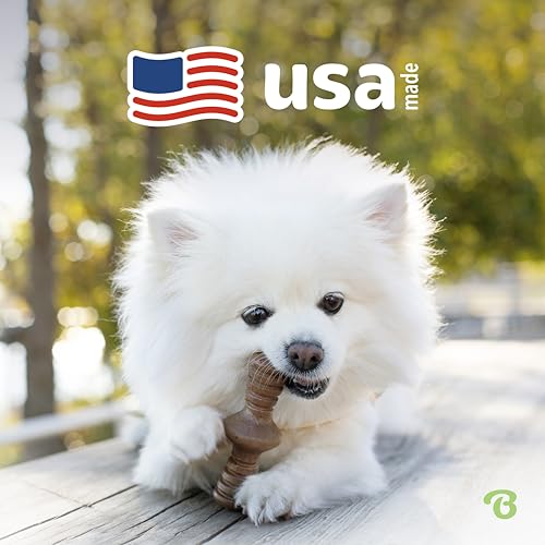 Image of Benebone 2-Pack Maplestick /Zaggler Durable Dog Chew Toys, Real Bacon, Real Maplewood, Made in USA, Tiny, Extra Small, Brown