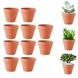 Molyorch 10 pezzi, 5 x 5,5 cm, vaso in terracotta di succulento cactus, per cactus, fiori, piante grasse, ideali per il giardinaggio, il fai da te o regali di nozze (5,5 x 5 cm)
