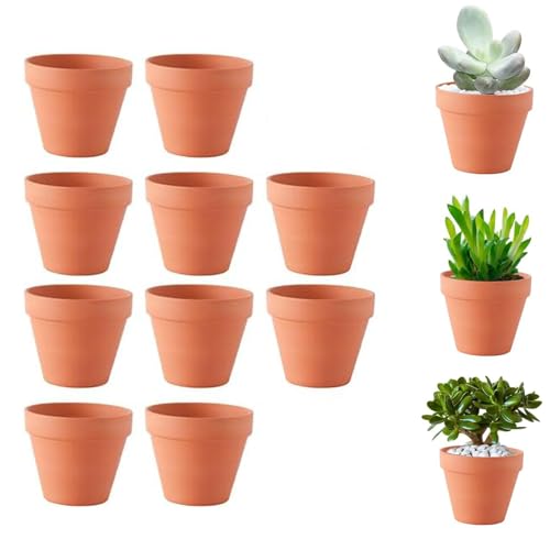 10 Piezas Maceteros de Terracota, Pequeñas Macetas de Arcilla Macetas de Terracota, para Plantas Semillas Cactus Escritorio Antepecho de Oficina Regalo para Boda Navidad (5.5 * 5cm)