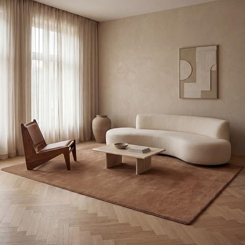Jimri Tapis de Salon uni - Tapis uni pour Chambre d'enfant, Chambre à Coucher, Bureau, Couloir et Cuisine - Tapis à Poils Courts Marron/Taupe - Taille : 80 x...
