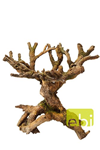 AQUA DELLA Décor Bonsai - 22x19x19cm - Marron - Pour aquarium