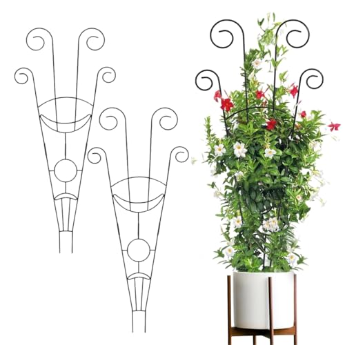 Image of ecofynd 32 inches Metal Trellis for Plants, Different Patterns Stem Flower Plant Support, Garden Climbing Plant Trellis for Outdoor Amaryllis Orchid Lily Rose (2 Pack, BLK, TR017)