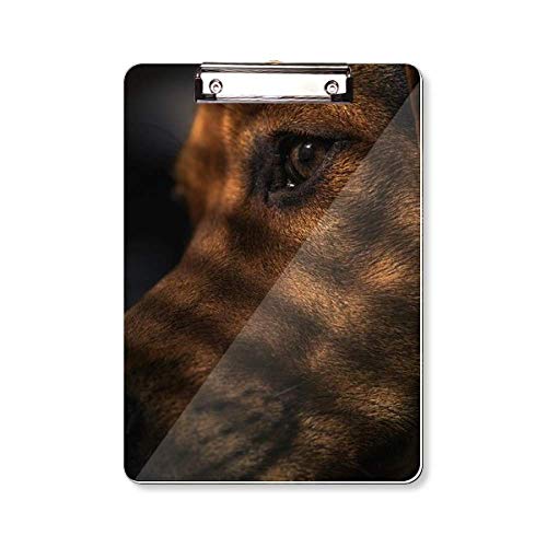 Bloc-notes Dog Pet A4 pour ne plus jamais oublier vos notes importantes