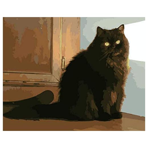 HEZIMO Måla efter siffror, gör-det-själv oljemålningssats med penslar och akrylfärger gör-det-själv canvasmålning för vuxna nybörjare-40 x 50 cm -WM-1802-brittisk långhårig katt