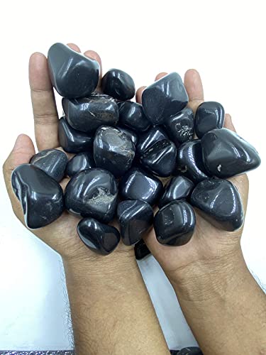 Bum Bum Bhole 1kg Medium Polished Black Pebbles for Garden & Home D?cor Planters, Aquarium Decoration, Fountain, Landscaping, Plants, Vase Decoration (15 to 35 MM) (B093FXJZ7L) Amazon Price History, Amazon Price Tracker