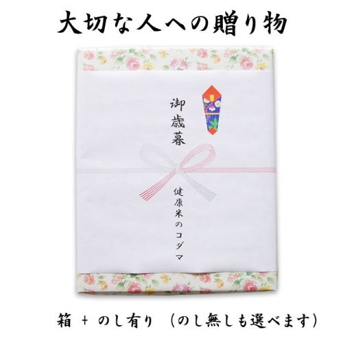 健康米のコダマ『熊本県産もち米1kg』