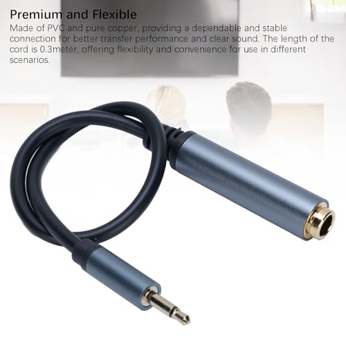 Cable sonido Jack 6.35mm hembra a 3.5mm macho 0.3m miniatura 5