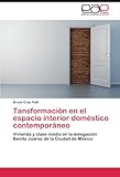 benito juarez oaxaca sierra norte  Tansformación en el espacio interior doméstico contemporáneo: Vivienda y clase media en la delegación Benito Juárez de la Ciudad de México