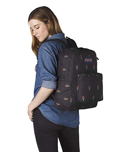 bsa backpack
