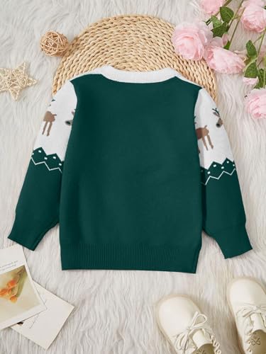 Image of Girls Christmas Pullover Sweaters Reindeer Elk Snow Long Sleeve Crew Neck Chunky Tops