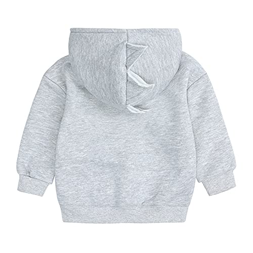 Boys Hoodie Pullover Athletic Sweatshirt with Pockets Hoodie for Boys Kid's Pullover Hooded Sweatshirt 8 to 204