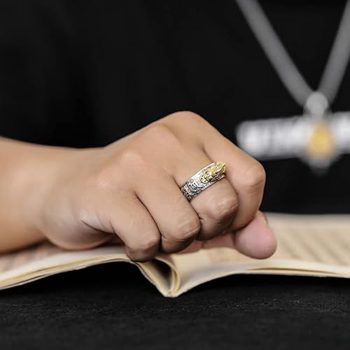 PEKWASY 2 peças de anel de mantra Feng Shui Anillo Pixiu, Anillo ajustável, Feng Shui De La Buena Su