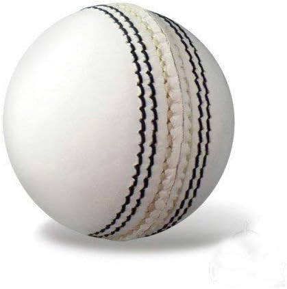 Whimsical Sports Leather Cricket Ball (White)