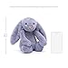 Jellycat Bashful Viola Bunny Stuffed Animal, Medium 12 inches - Rabbit & Bunny Plush Toy - Classic Children's Gift