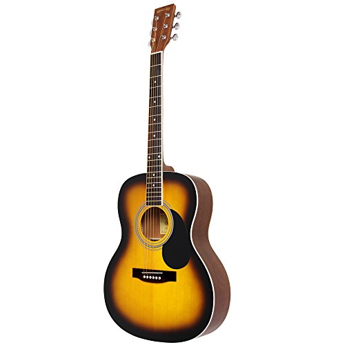HONEY BEE アコースティックギター F-15M マットブラック Amazon | HONEY BEE アコースティックギター フォークギター