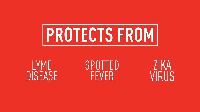 Adams Flea & Tick Home Spray, Kills Fleas, Flea Eggs, Flea Larvae, Bed Bugs, Ticks, Ants, Cockroaches, Spiders… - Image 8
