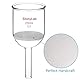 StonyLab Buchner Trichter Filter, Borosilikatglas Büchnertrichter mit Grober Fritte(G1), 76mm Scheibendurchmesser, 80mm Tiefe - 250ml
