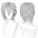 Kavsni Short Straight Unisex Cosplay Hair Wig Women Mens Male Fashion Anime Party Fancy Style Costume Synthetic Full Wigs (Gray white)