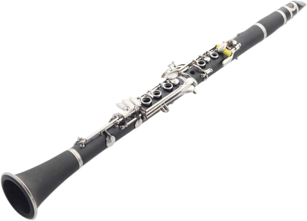 Bakelite Bb Clarinet Professional With Box Mouthpiece(1)