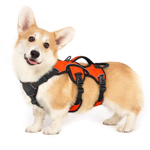 rabbitgoo Escape Proof Dog Harness, Soft Padded Full Body Pet Harness, Reflective Adjustable No Pull Vest with Lift Handle and Lesh Clip for Large Dogs Walking Hiking Training, S, Orange