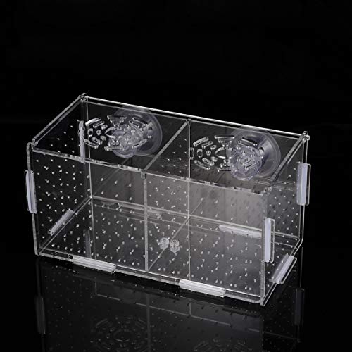 Popetpop Fish Breeding Box-2 Isolation Box Breeder Hatchery Incubator Aquarium Fish Breeding Boxes Divider Hatching Boxes Accessory-Suction Cup Pattern #TOP2