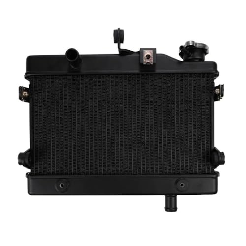 z_ u250 CL250 K WG[^[   2020 2021 2022 2023 u Rebel WG^[ N[[ p ЊOi [sAi]