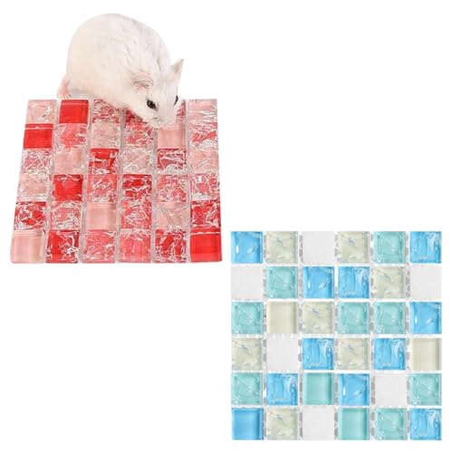SquEqu 2 Pack Hamster Chiller Glass Stone Hamsters Cooling Pad Dwarf Hamster Bedding Cool Plate Tiles Ice Bed for Rabbits Guinea Pig Gerbil Chinchilla Bunny Ferret and Other Small Animals Small Pets