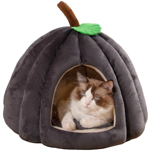 LnEXxbh L xbh ybg nEXh[^ ӂӂ  Lp J{` ybgpQ ΍ g ݂̂nEBybgxbh ʔN^Cv LQ^ ~   qL ^ ybg薰xe (_[NO[,4