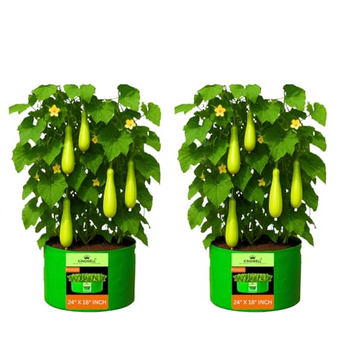 Image of Kingwell Grow Bag For Terrace Garden Leafy Vegetable Plant Grow Bags Fruits Growing Containers For terrece Gardening (24 X 18 INCH, PACK OF 2)