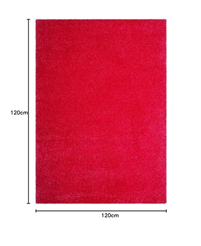 Image of Shanno Carpet Soft Fluffy Shag Area Rectangular Shape Rugs for Living Room, Shaggy Floor Carpet for Bedroom, Girls Carpets Kids Home Decor Rugs, Cute Luxury Non-Slip [Size 4X6 Feet]