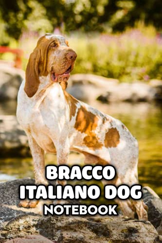  Bracco Italiano Dog Notebook: Notebook Journal Diary/ Lined - Size 6x9 Inches 100 Pages