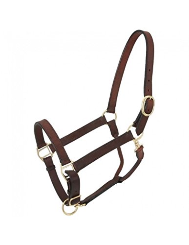 Tough 1 Leather Adj Stable Halter w/Snap Large Hors