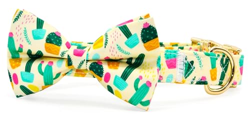 csspet plN^C݁AT{e̎փ{E^CAO\ȒlN^CANZT[A/ǎ̕AM 12-20C`